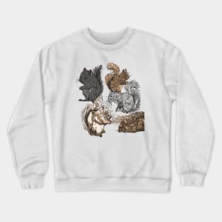 squirrels Crewneck Sweatshirt